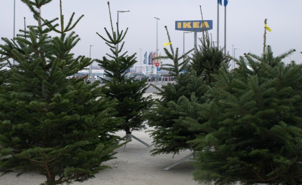 Ikea poziva građane da recikliraju božićna drvca‏