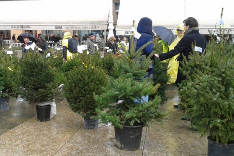 Akcija Za 1000 radosti - humanitarna prodaja božićnih drvaca