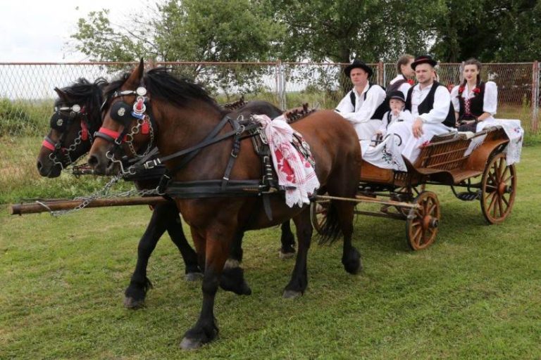 U Kloštar Ivaniću održana izložba izvornih i zaštićenih pasmina hrvatskih konja