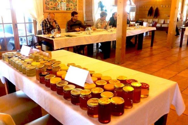 STRUČNJACI AGRONOMSKOG FAKULTETA: U Zagrebačkoj županiji proizvodi se iznimno kvalitetan med