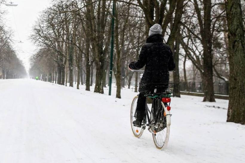 ISKUSTVA IZ BEČA: Biciklističke staze i zimi su vrlo prometne