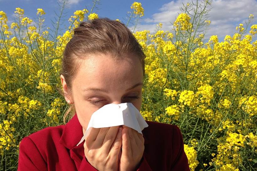 POČINJE PELUDNA SEZONA: Ako ste alergični na pelud, evo kako se možete zaštititi
