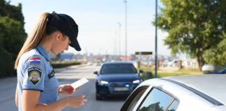 Policija - policijska kontrola