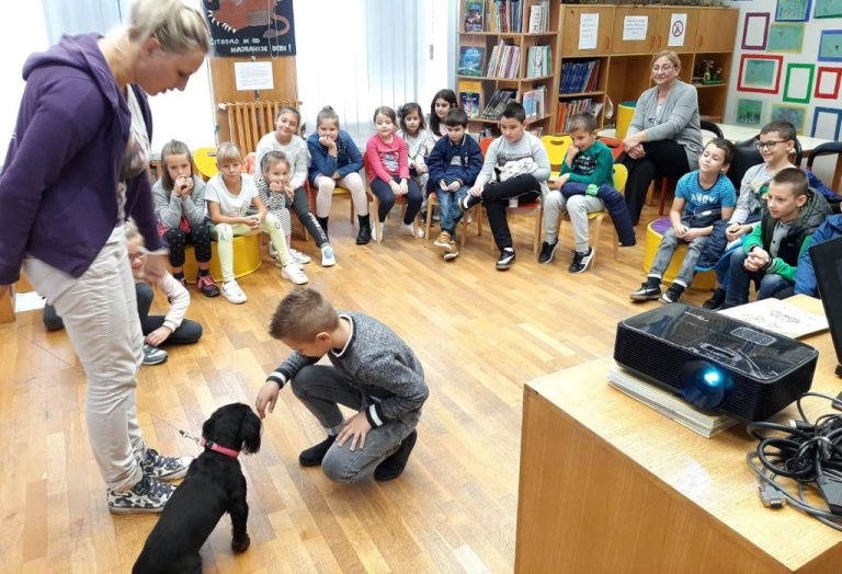 Tvrtka 'dm' podržala edukaciju 15.000 djece o odgovornoj brizi za životinje