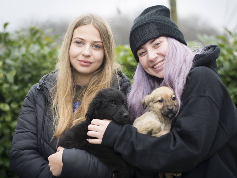 Zagrebački studenti postali influenceri za udomljavanje, cilj je do kraja godine udomiti 77 pasa iz Dumovca