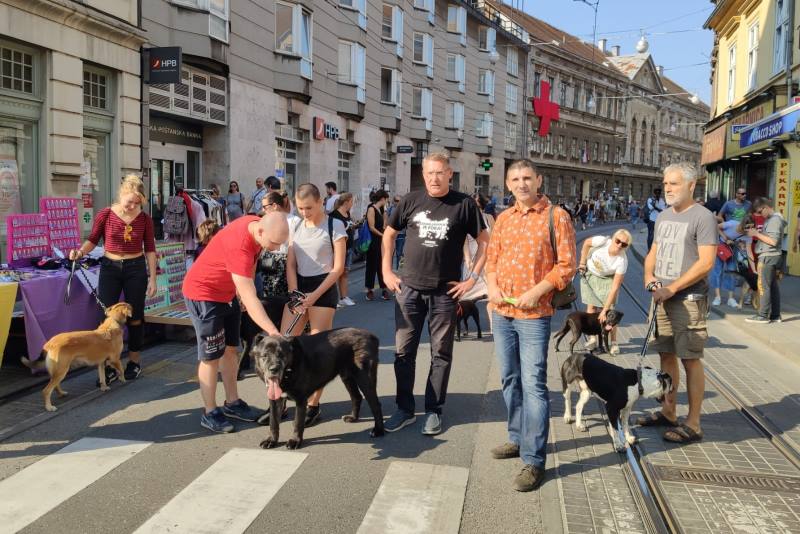 PERFORMANS: Umjetnik Siniša Labrović na Ilici organizirao šetnju za dvadesetak pasa iz Dumovca