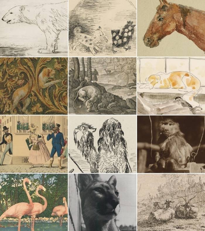 Virtualna izložba Grafičke zbirke NSK posvećena životinjama u likovnoj umjetnosti