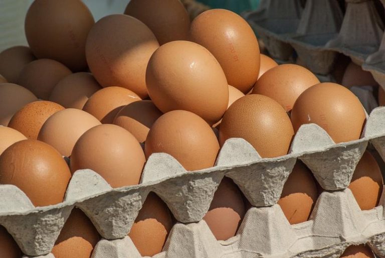 Jaja još jednog hrvatskog proizvođača povučena iz trgovina! Razlog je ponovo salmonela