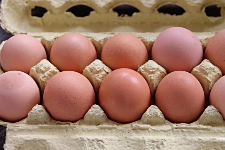 Zbog salmonele iz pridaje povučena jaja poznatog domaćeg proizvođača!