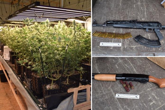 Policija u kući otkrila “plantažu” marihuane, puške, pištolj, streljivo… Vlasnici su uhićeni