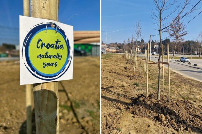 U okviru projekta “Hrvatska prirodno tvoja” u Sv. Ivanu Zelini posađen drvored javora