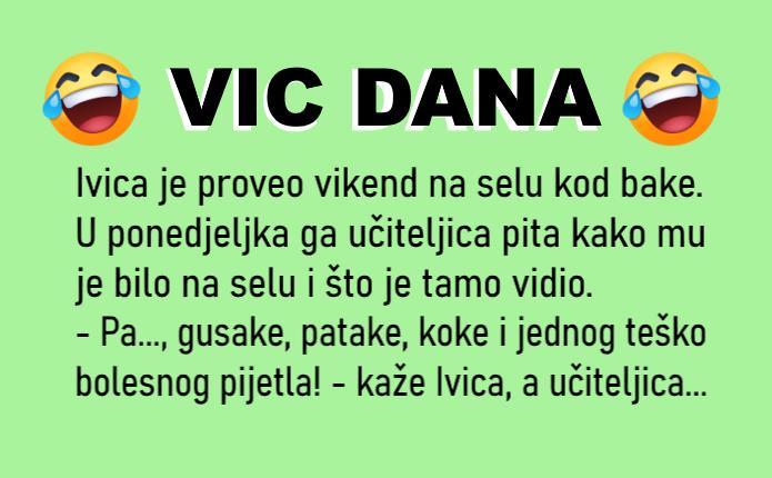 VIC DANA: Vikend na selu