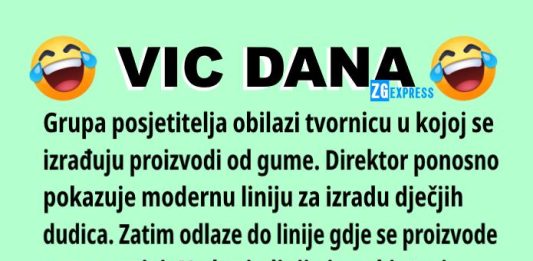 VIC DANA: Poslovna politika