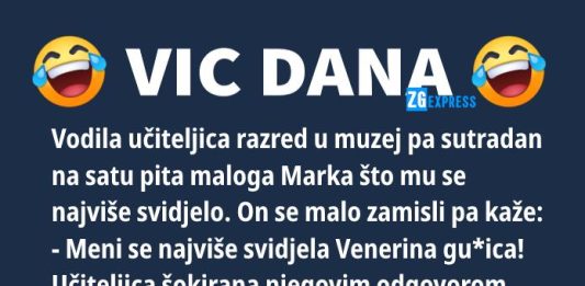 VIC DANA - Mali Ivica