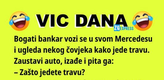 VIC DANA: Bankar i siromah