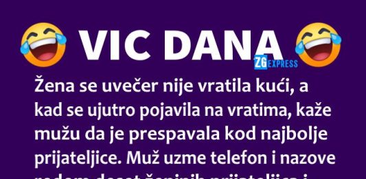 VIC DANA: Prijateljice i prijatelji