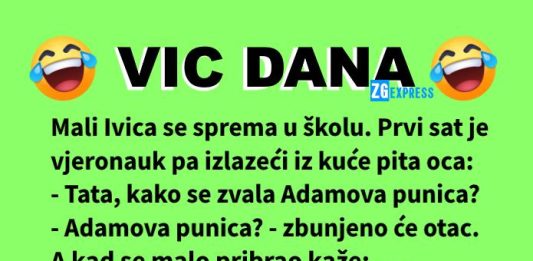 Vic dana