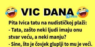 Vic dana