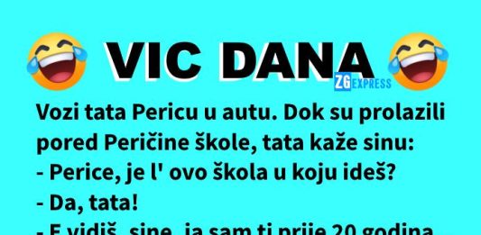 Vic dana