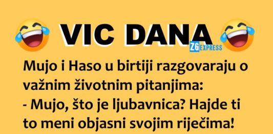 Vic dana