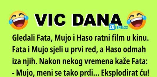 Vic dana