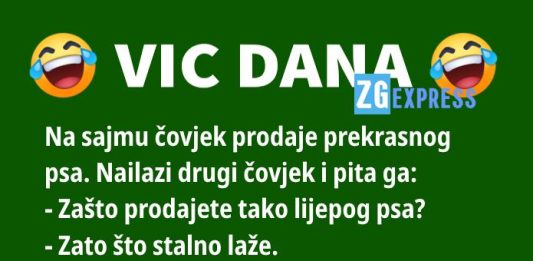 Vic dana