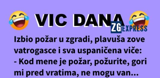 Vic dana