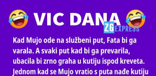 Vic dana