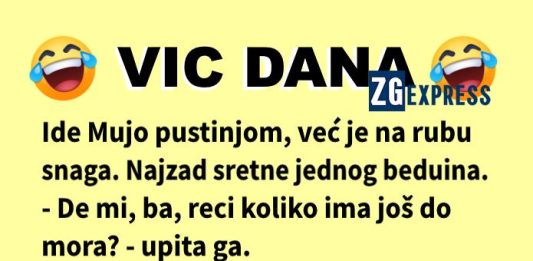 Vic dana