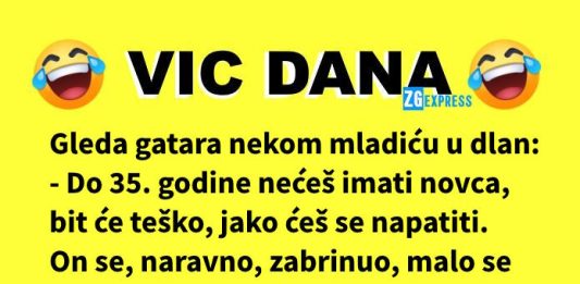 Vic dana