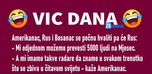 Vic dana