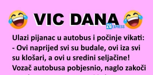 Vic dana