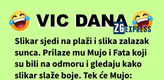 Vic dana