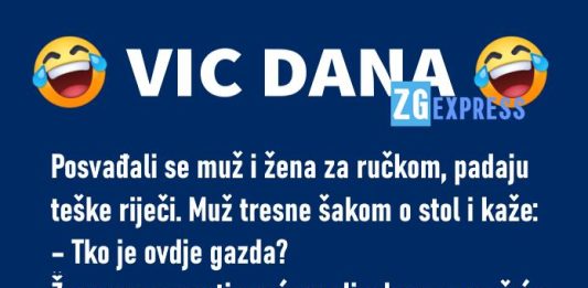 Vic dana