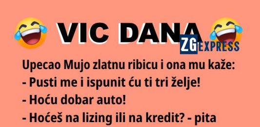 Vic dana