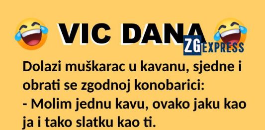 Vic dana