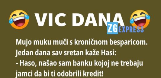 Vic dana