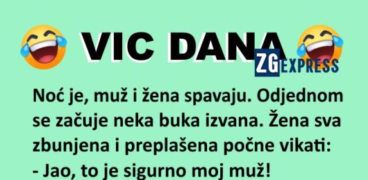 Vic dana