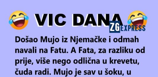 Vic dana