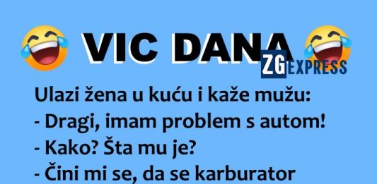 Vic dana