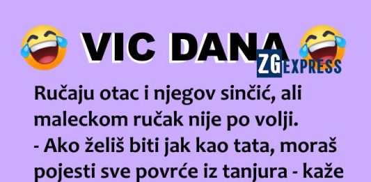 Vic dana