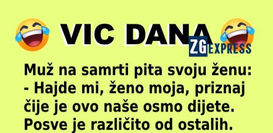 Vic dana