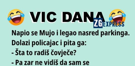 Vic dana