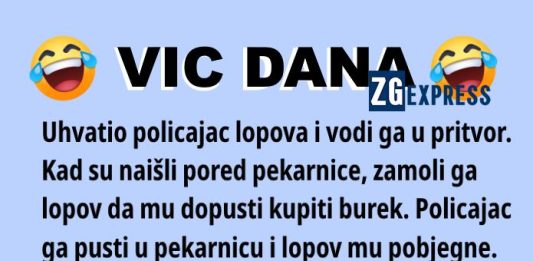 Vic dana