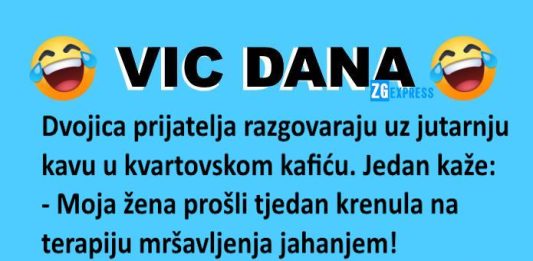 Vic dana