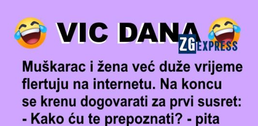 Vic dana