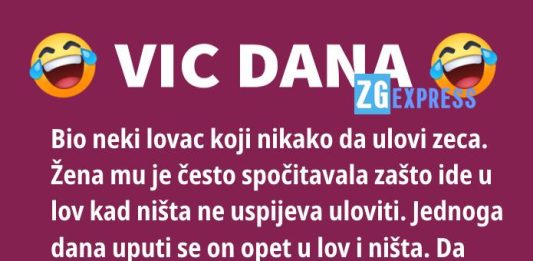 Vic dana