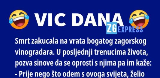 Vic dana