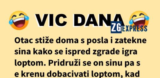 Vic dana