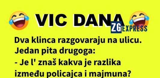 Vic dana